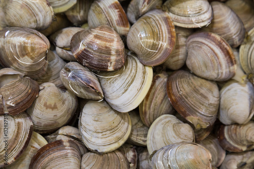 Shellfish such as clams are allergic to some people