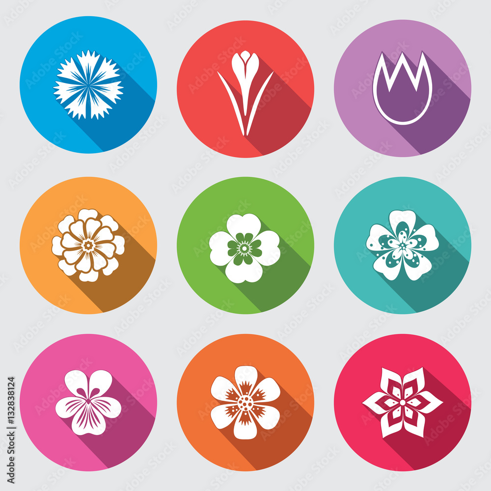 Flower icon set. Camomile, daisy, tulip orchid crocus, saffron 