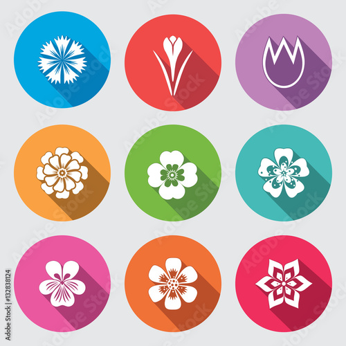 Flower icon set. Camomile, daisy, tulip orchid crocus, saffron cornflower dahlia aster gowan. Floral, herbs symbol. Round colorful flat signs with long shadow. Vector