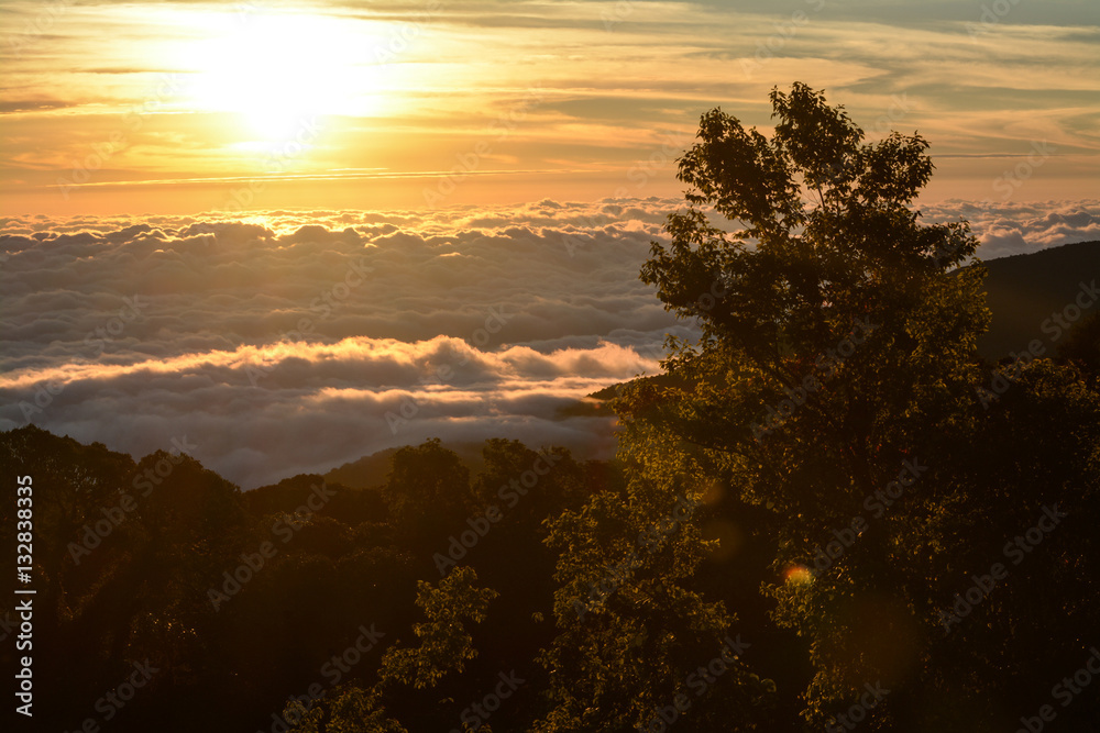 unrise with fog and cloud at Kew Mae Pan ,Doi Inthanon National Park, Thailand.