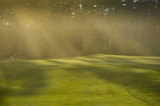 Golf course in mist and light