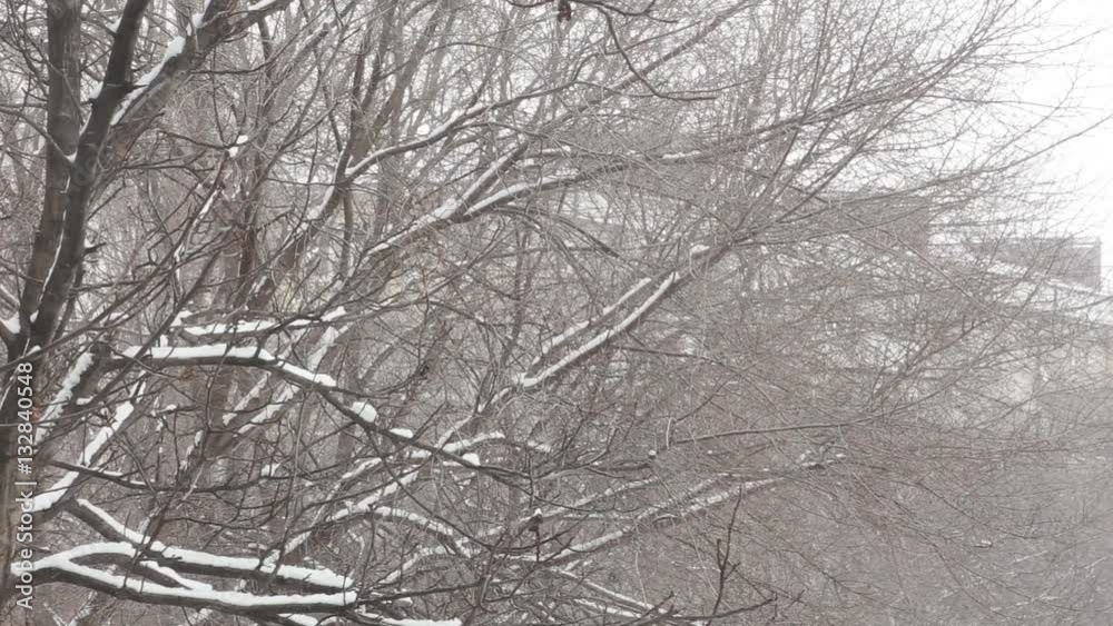 Falling snow at apartment blocks in a city..Romantic winter scenery. Snowflakes falling in motion. Falling snow at apartment blocks in a city..Romantic winter scenery. Snowflakes falling in motion.