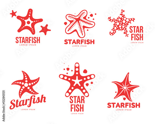 Set of graphic, silhouette starfish logo templates, vector illustration isolated on white background. Stylized graphic starfish logotype, logo design, summer vacation concept