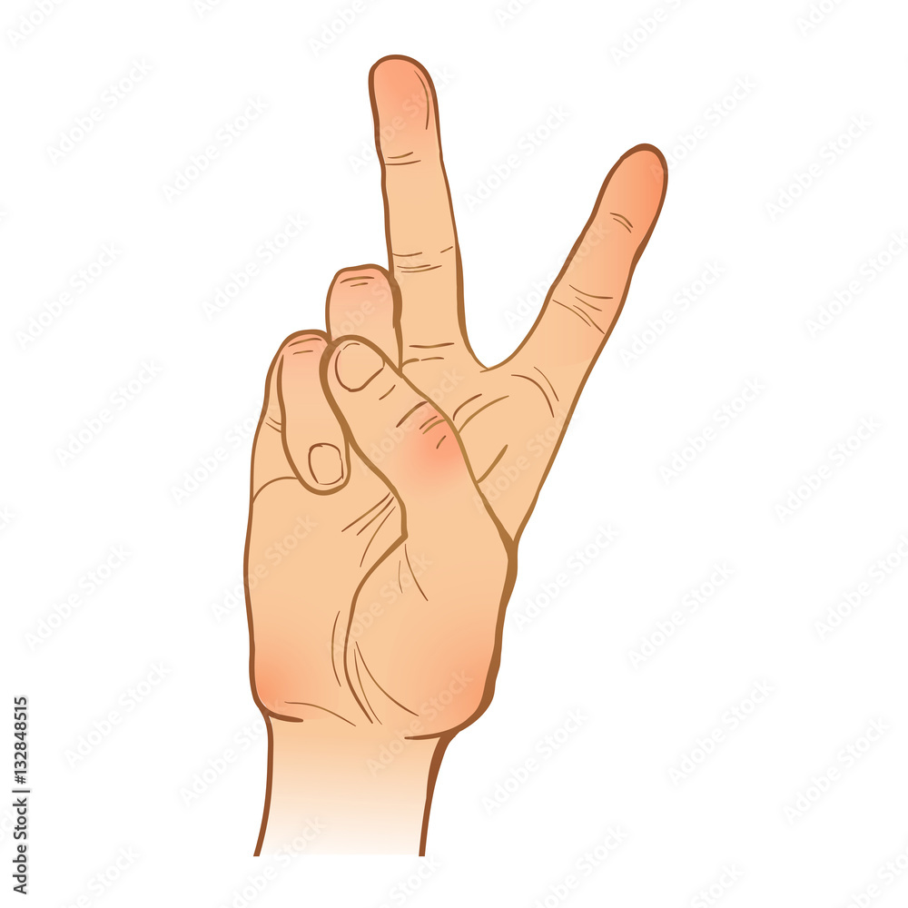 hand line sketch. one hand. victory gesture. painted arm. vecto hand line sketch. one hand. victory gesture. painted arm. vecto