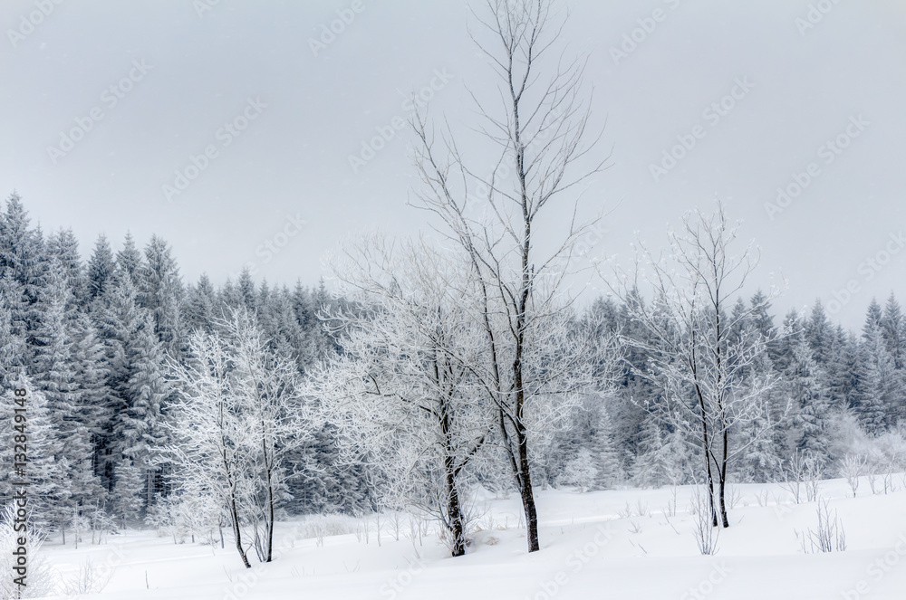 Schnee im Erzgebirge bei Altenberg Schnee im Erzgebirge bei Altenberg
