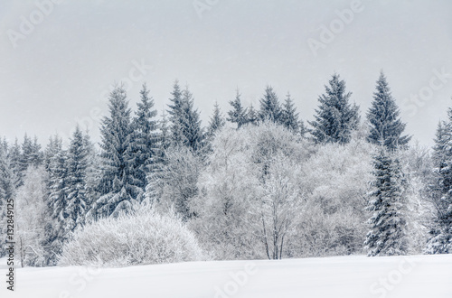 Schnee im Erzgebirge bei Altenberg