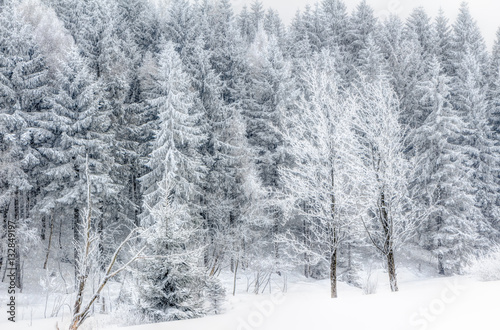 Schnee im Erzgebirge bei Altenberg