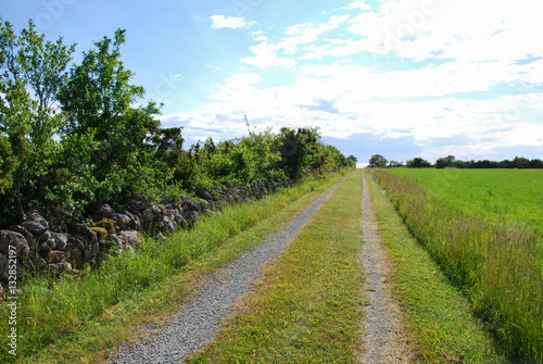 Countryside Tracks