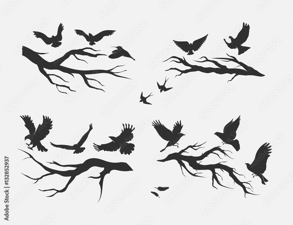 Obraz premium flying birds, mounted on branches
