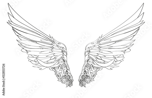 Wings. Vector illustration on white background. Black and white