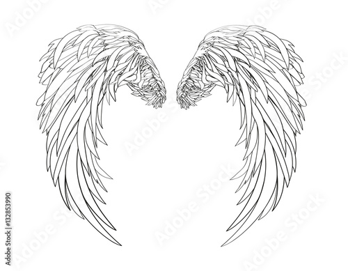Wings. Vector illustration on white background. Black and white