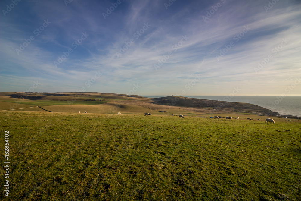 Seven Sisters Country Park on a winter afternoon.