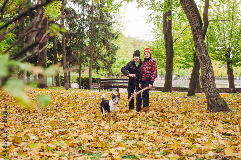 Fototapeta premium couple walking a dog park