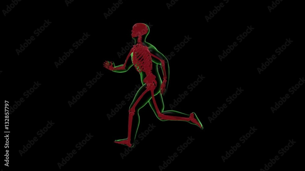 Human Running X-ray Body with Skeleton. 3d Render Full HD Human Running X-ray Body with Skeleton. 3d Render Full HD
