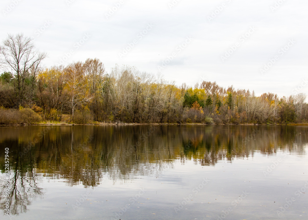 Autumn forest reflected in the water landscape