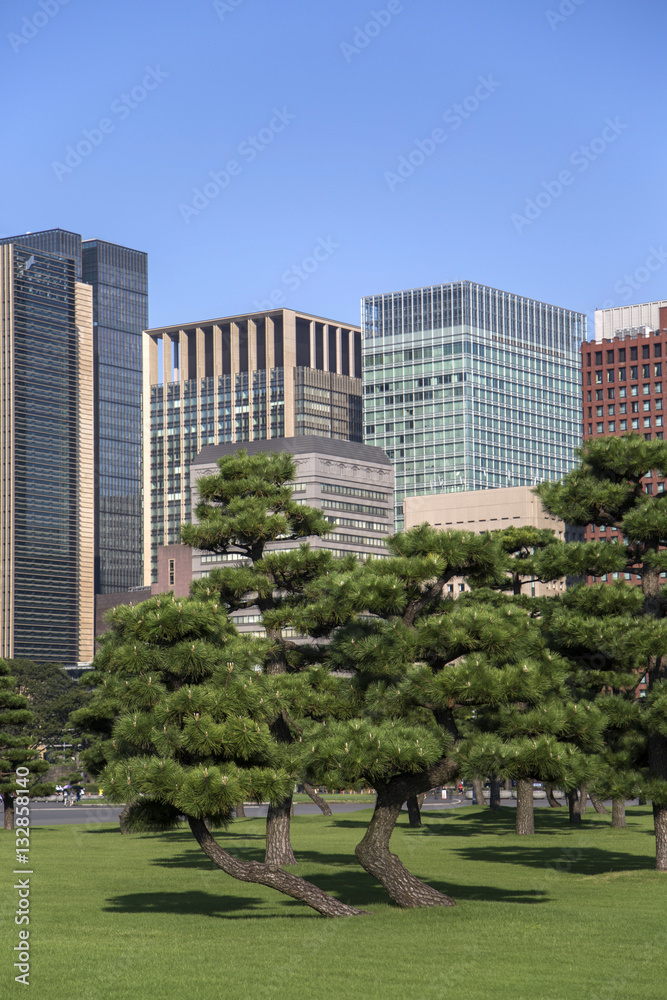 Beautiful green park garden with city view inTokyo, Japan Beautiful green park garden with city view inTokyo, Japan