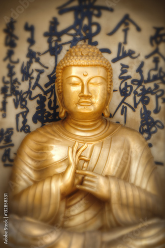 Buddha portrait