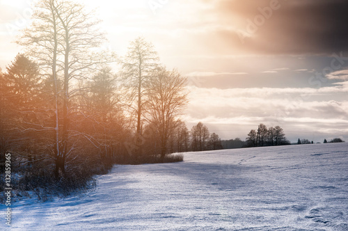 Winter landscape in the countryside © inventart