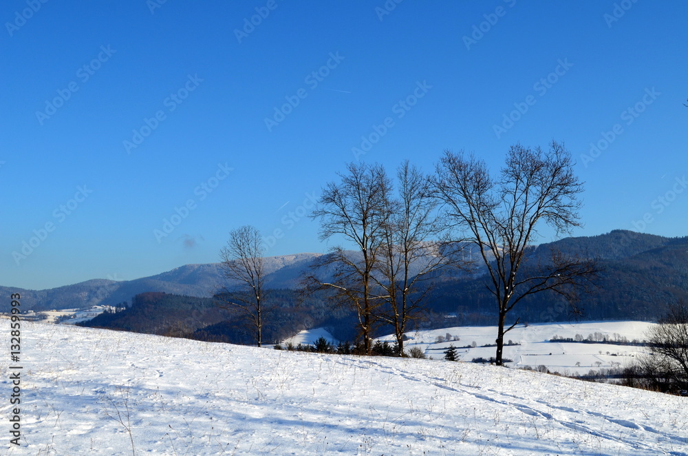 Schwarzwaldwinterlandschaft