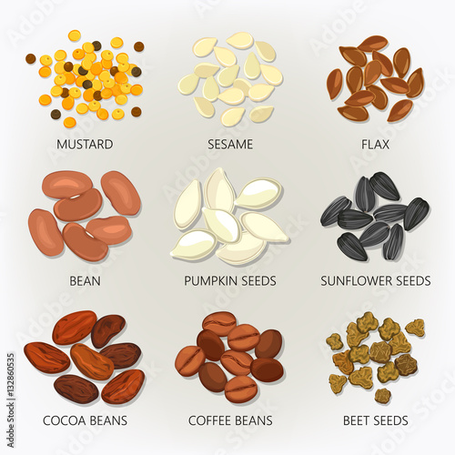 Icons of seeds and grains, beans