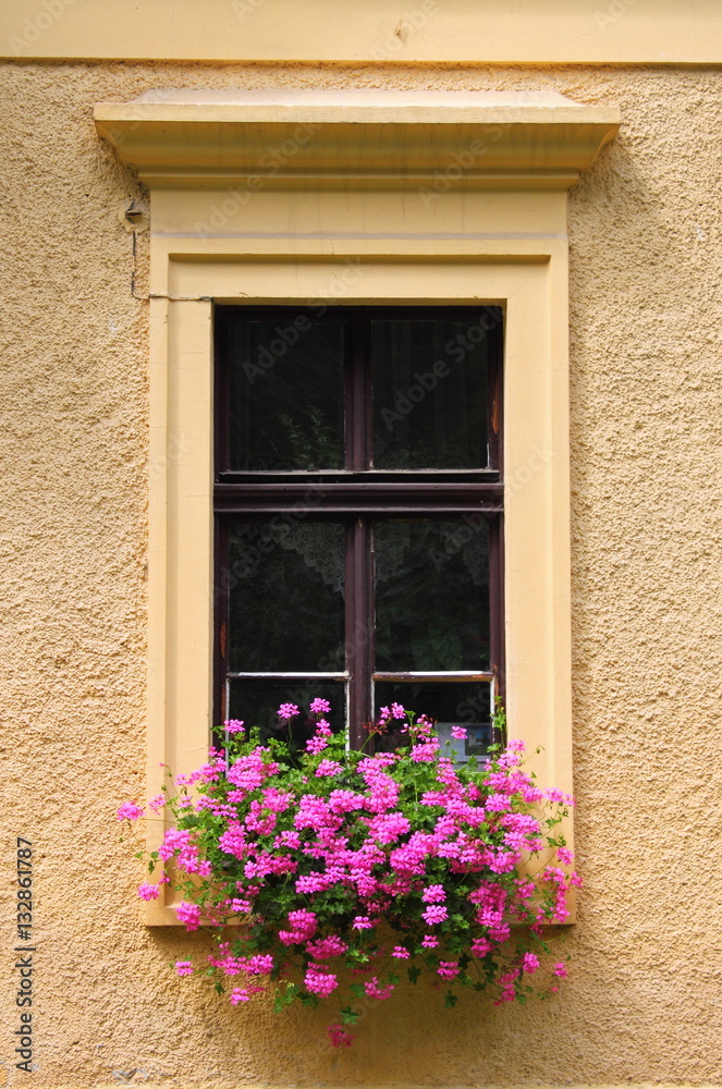 Renaissance window with flowers