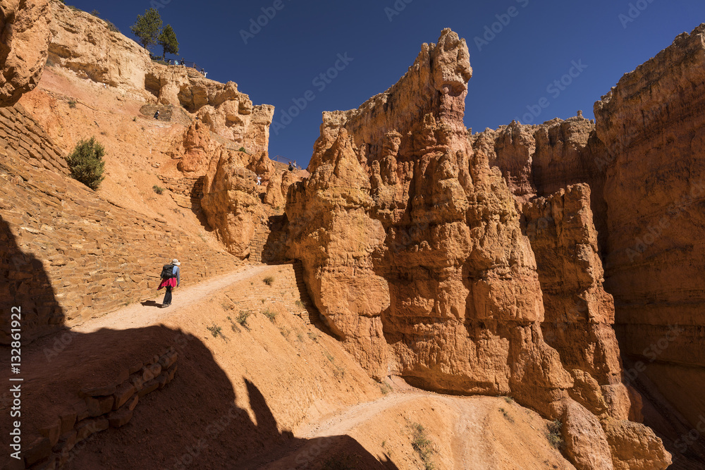 Fototapeta premium hiking Navaho trail, Bryce Canyon National Park