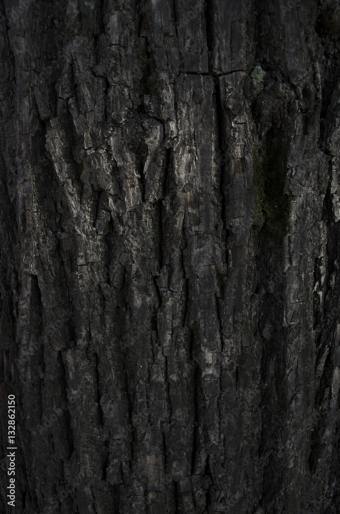 Tree structure. Macro Tree structure. Macro