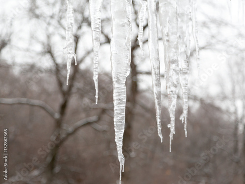 Icicles hang from the roof on blurred background. The trees in the background