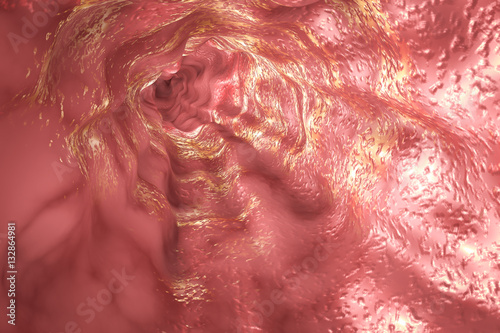 Esophagus mucosa and esophageal sphincter, 3D illustration photo