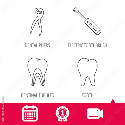 Achievement and video cam signs. Tooth, electric toothbrush and pliers icons. Dentinal tubules linear sign. Calendar icon. Vector