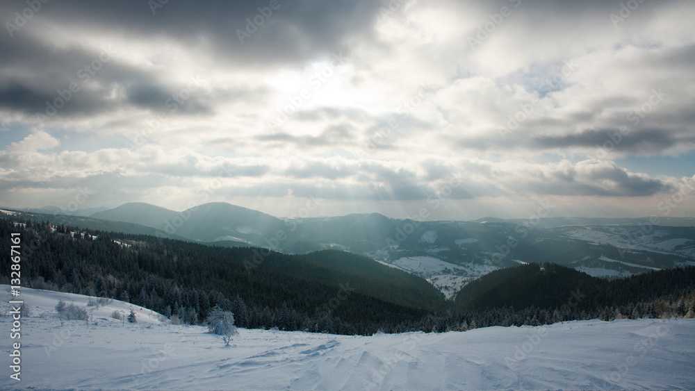 Cloudy sky and sun beams winter forest in mountains