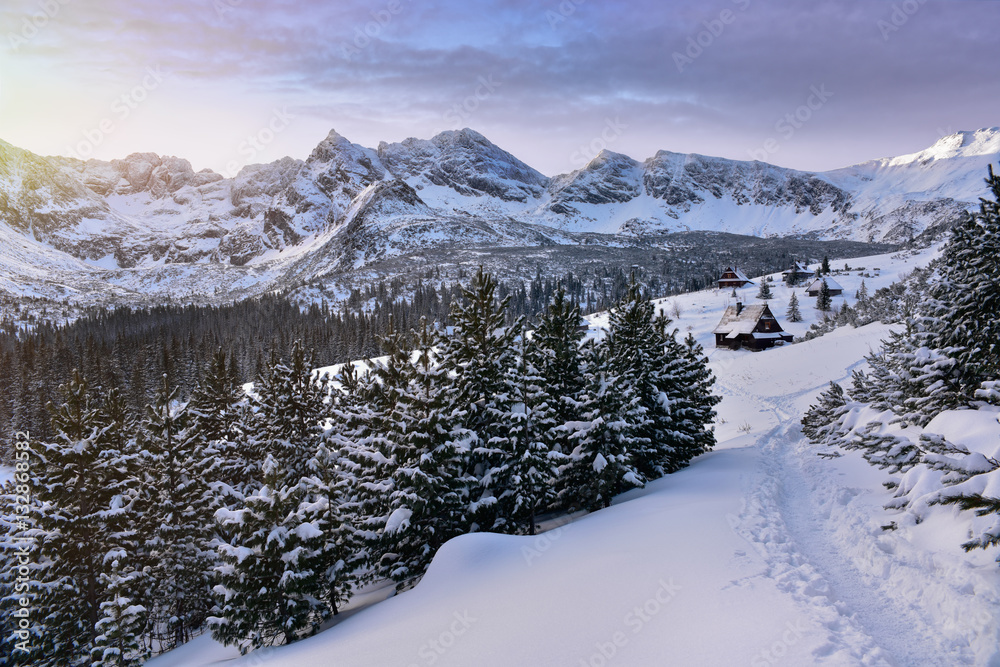 Obraz premium Winter view of Tatra mountain. Hala Gasienicowa