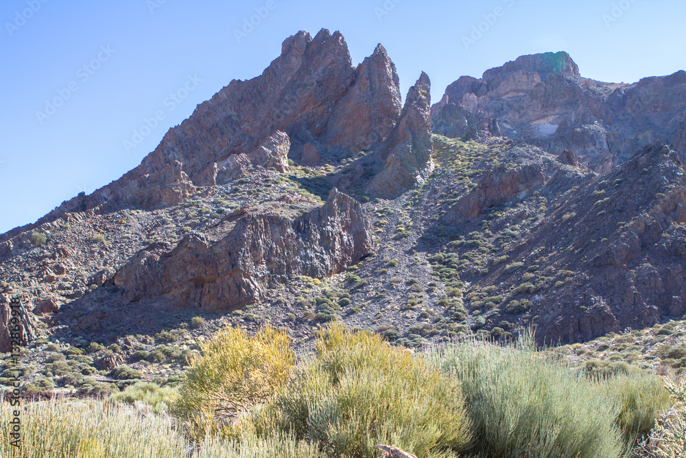 Naklejka premium Teide National Park on Tenerife