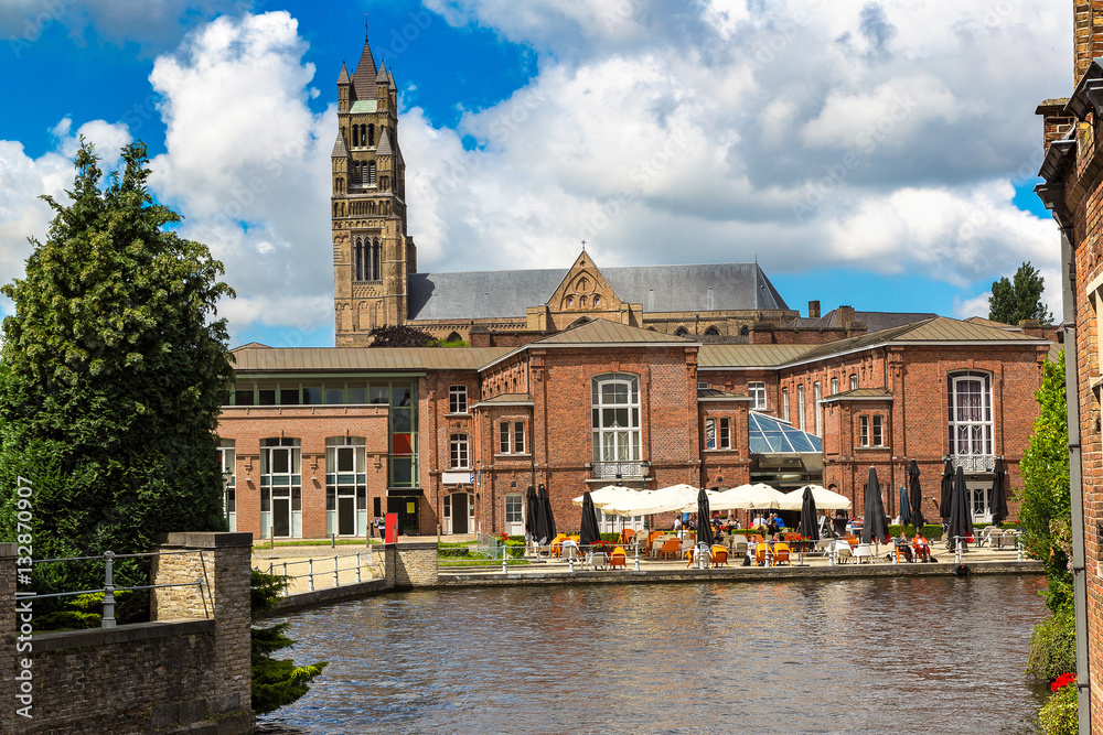 Fototapeta premium Houses along the canal in Bruges