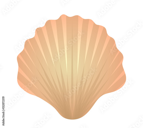 Shell icon logo element. Flat style, isolated on white background. Vector illustration, clip art
