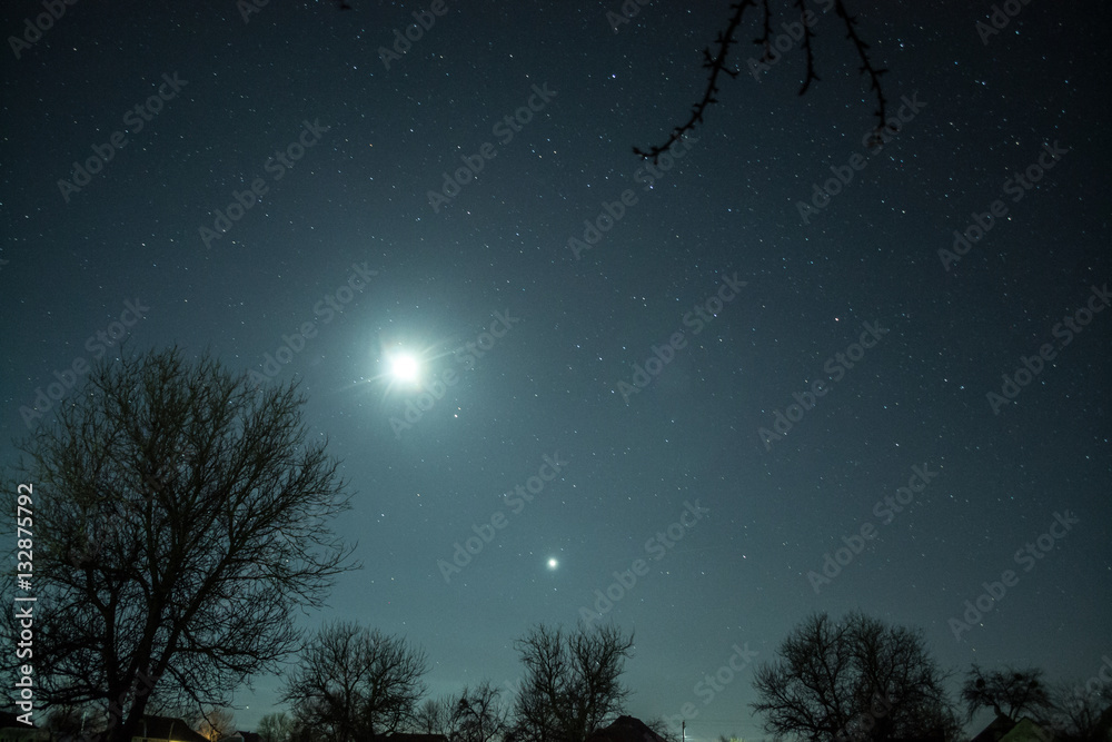 Fototapeta premium Winter starry sky in the village