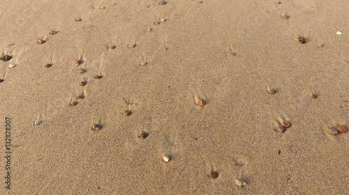 Little stones on sand in the beach