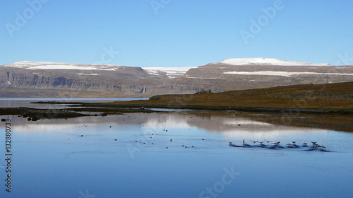 Fjordlandschaft in den Westfjorden von Island photo