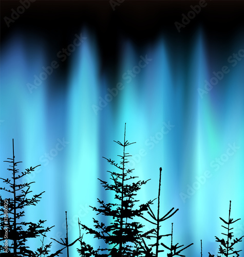 Silhouette of coniferous trees on the background of blue sky. Evening. Northern lights.  Neon presentation.