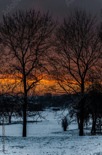 Dawn over the snowy garden