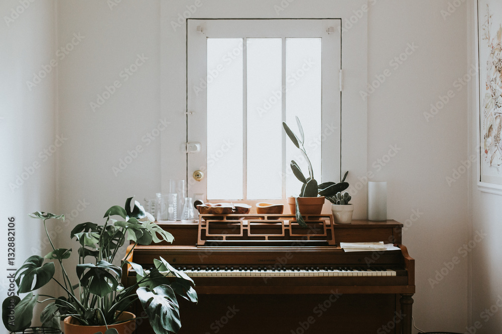 Piano in front of window, in room with potted plants Stock Photo | Adobe  Stock