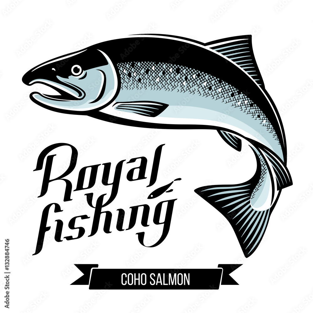Obraz premium Coho Salmon fish vector illustration