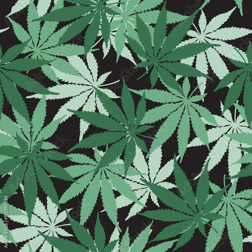 Cannabis or Marijuana leaf seamless pattern in vector format.

