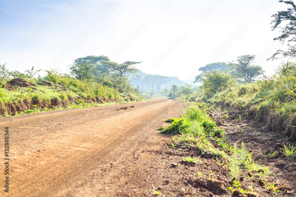 African landscape - dirt road through savanna, Kenya African landscape - dirt road through savanna, Kenya