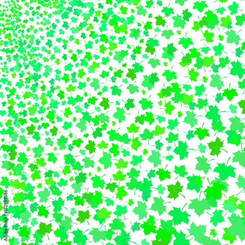 Green Maple Leaves Pattern on White Background
