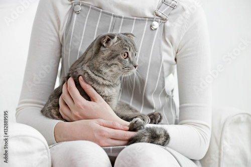 Fototapeta Naklejka Na Ścianę i Meble -  Cute funny cat with owner at home, closeup