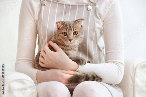 Fototapeta Naklejka Na Ścianę i Meble -  Cute funny cat with owner at home, closeup