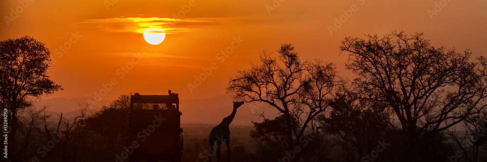 Naklejka premium African Safari Sunset Silhouette