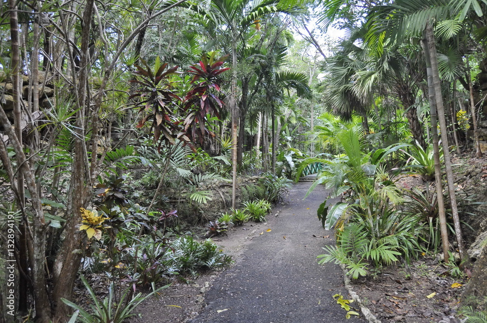 Garden of the Groves, Grand Bahama Island, the Bahamas Garden of the Groves, Grand Bahama Island, the Bahamas
