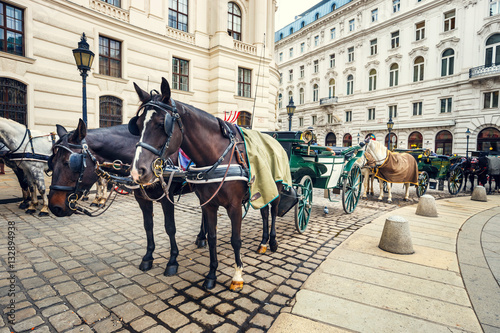 Horse-driven carriage at Hofburg palace in Vienna, Austria photo